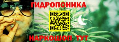 эйфоретик Ярославль