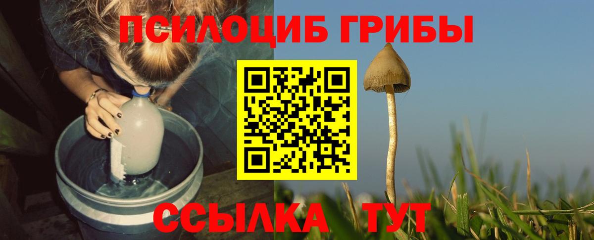 Галлюциногенные грибы GOLDEN TEACHER  Вход с VPN  Псилоцибиновые грибы Psilocybine cubensis  Волжск 
